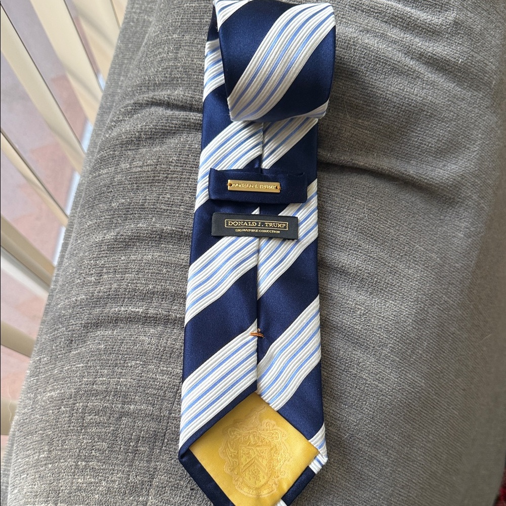 Donald Trump Navy and White Striped Men's Tie